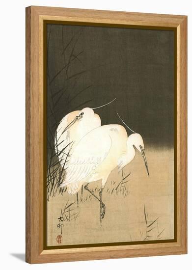 Two Egrets at Night-Koson Ohara-Framed Premier Image Canvas