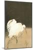 Two Egrets at Night-Koson Ohara-Mounted Giclee Print