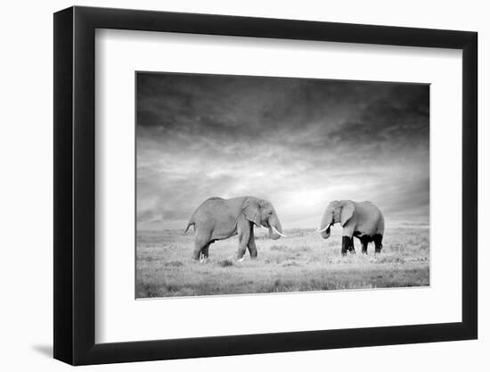 Two Elephant in the Wild - National Park Kenya-Volodymyr Burdiak-Framed Photographic Print