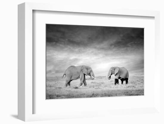 Two Elephant in the Wild - National Park Kenya-Volodymyr Burdiak-Framed Photographic Print