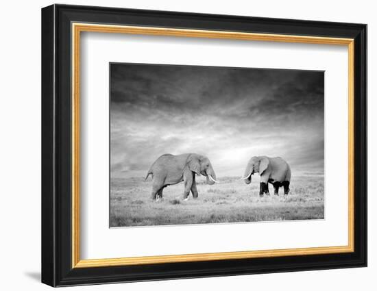Two Elephant in the Wild - National Park Kenya-Volodymyr Burdiak-Framed Photographic Print