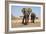 Two Elephants Stand Around A Water Hole-Karine Aigner-Framed Photographic Print