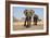 Two Elephants Stand Around A Water Hole-Karine Aigner-Framed Photographic Print