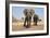 Two Elephants Stand Around A Water Hole-Karine Aigner-Framed Photographic Print