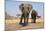 Two Elephants Stand Around A Water Hole-Karine Aigner-Mounted Photographic Print