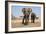 Two Elephants Stand Around A Water Hole-Karine Aigner-Framed Photographic Print