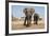 Two Elephants Stand Around A Water Hole-Karine Aigner-Framed Photographic Print