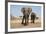 Two Elephants Stand Around A Water Hole-Karine Aigner-Framed Photographic Print