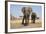 Two Elephants Stand Around A Water Hole-Karine Aigner-Framed Photographic Print