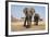 Two Elephants Stand Around A Water Hole-Karine Aigner-Framed Photographic Print