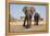 Two Elephants Stand Around A Water Hole-Karine Aigner-Framed Premier Image Canvas