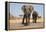 Two Elephants Stand Around A Water Hole-Karine Aigner-Framed Premier Image Canvas