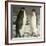 'Two Emperor Penguins', c1908, (1909)-Unknown-Framed Photographic Print