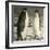 'Two Emperor Penguins', c1908, (1909)-Unknown-Framed Photographic Print