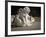 Two English Bulldog Puppies Play Fighting - 6 Weeks Old-Willee Cole-Framed Photographic Print