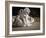 Two English Bulldog Puppies Play Fighting - 6 Weeks Old-Willee Cole-Framed Photographic Print