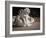 Two English Bulldog Puppies Play Fighting - 6 Weeks Old-Willee Cole-Framed Photographic Print