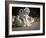 Two English Bulldog Puppies Play Fighting - 6 Weeks Old-Willee Cole-Framed Photographic Print