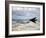 Two F-117 Nighthawk Stealth Fighters in Flight Over New Mexico-Stocktrek Images-Framed Photographic Print