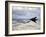 Two F-117 Nighthawk Stealth Fighters in Flight Over New Mexico-Stocktrek Images-Framed Photographic Print