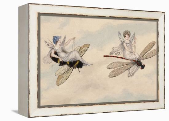 Two Fairies Flying Through the Air, One Seated on a Bee and the Other on a Dragonfly-Amelia Jane Murray-Framed Premier Image Canvas