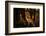 Two Fallow Deer, Cervus Elaphus, in London's Richmond Park-Alex Saberi-Framed Photographic Print