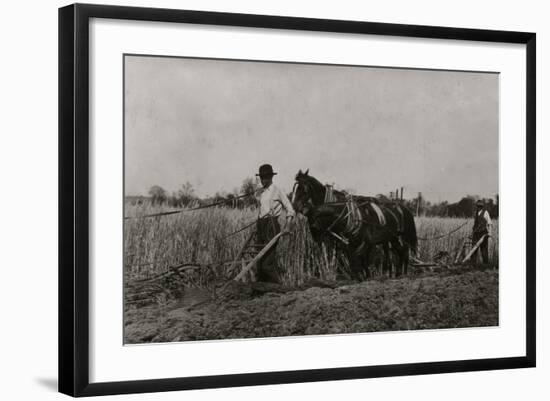 Photo, , large