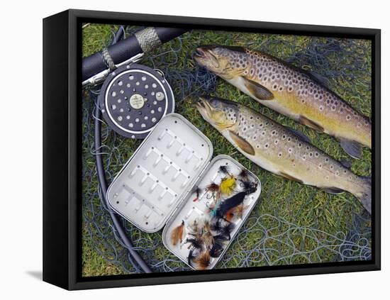 Two Fine Brown Trout Caught with Dapping Fly and Rod from a Boat on Loch Ba-John Warburton-lee-Framed Premier Image Canvas