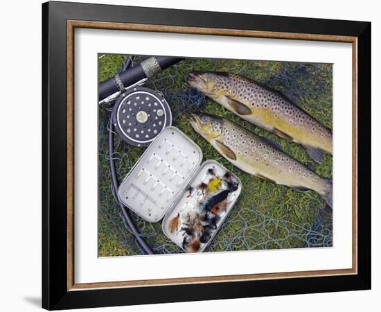 Two Fine Brown Trout Caught with Dapping Fly and Rod from a Boat on Loch Ba-John Warburton-lee-Framed Photographic Print