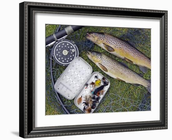 Two Fine Brown Trout Caught with Dapping Fly and Rod from a Boat on Loch Ba-John Warburton-lee-Framed Photographic Print