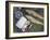 Two Fine Brown Trout Caught with Dapping Fly and Rod from a Boat on Loch Ba-John Warburton-lee-Framed Photographic Print
