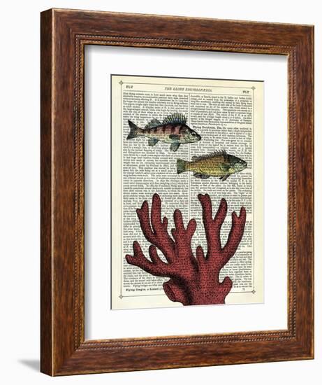 Two Fish with Coral-Marion Mcconaghie-Framed Art Print