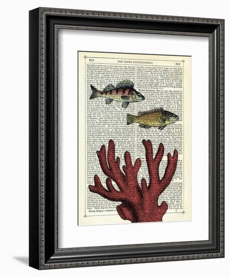 Two Fish with Coral-Marion Mcconaghie-Framed Art Print