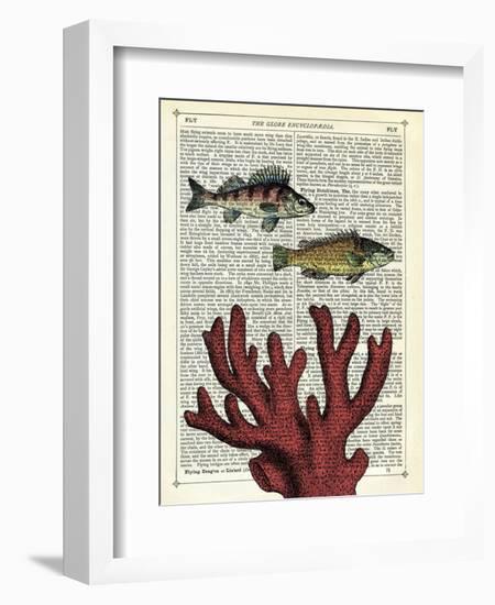 Two Fish with Coral-Marion Mcconaghie-Framed Art Print