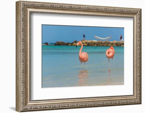 Two Flamingos on the Beach-PhotoSerg-Framed Photographic Print