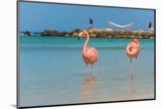Two Flamingos on the Beach-PhotoSerg-Mounted Photographic Print