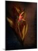 Two Floral Stems-Robert Cattan-Mounted Photographic Print