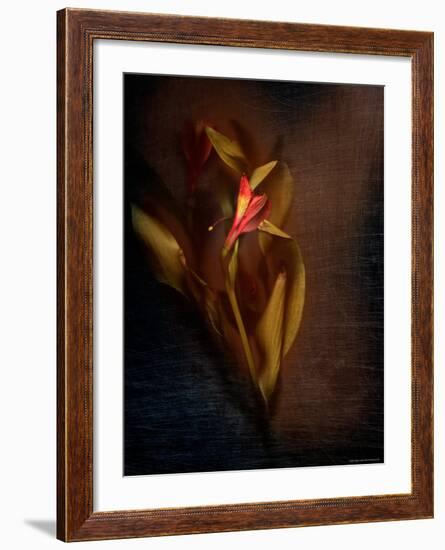 Two Floral Stems-Robert Cattan-Framed Photographic Print