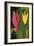 Two Flowers-Rabi Khan-Framed Art Print