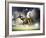 Two Football Players in Jump to Strike the Ball at the Stadium-Sergey Nivens-Framed Photographic Print