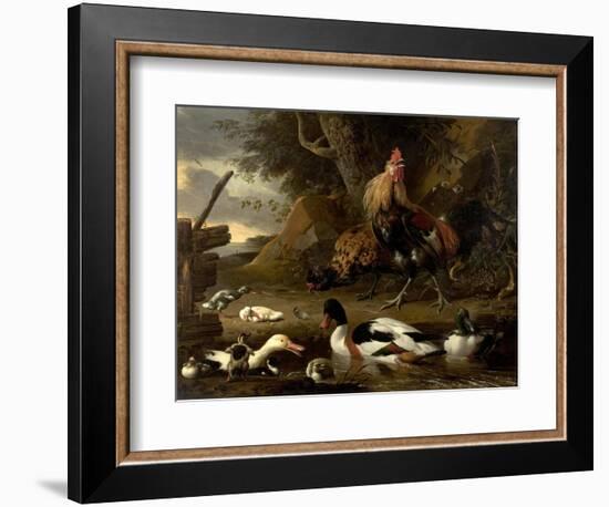 Two Fowls and Ducks on a Pond (Oil on Canvas)-Melchior de Hondecoeter-Framed Giclee Print