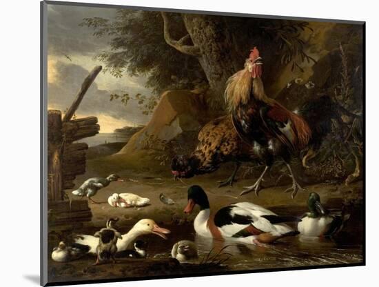 Two Fowls and Ducks on a Pond (Oil on Canvas)-Melchior de Hondecoeter-Mounted Giclee Print