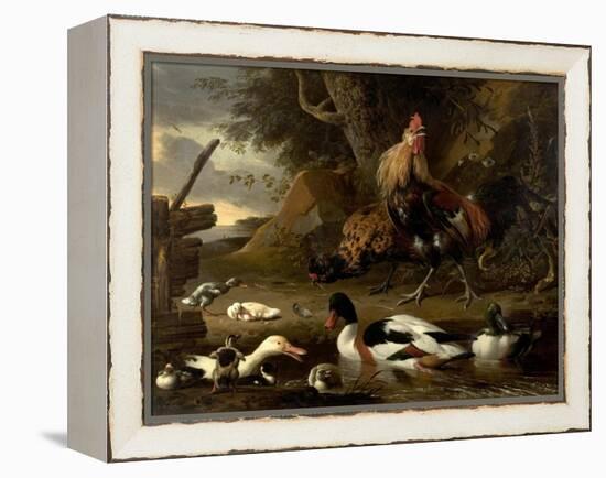 Two Fowls and Ducks on a Pond (Oil on Canvas)-Melchior de Hondecoeter-Framed Premier Image Canvas