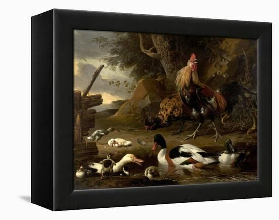 Two Fowls and Ducks on a Pond (Oil on Canvas)-Melchior de Hondecoeter-Framed Premier Image Canvas