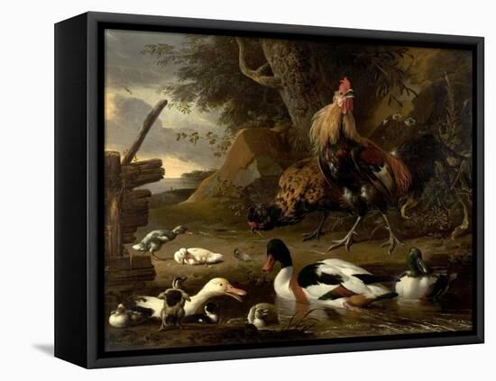 Two Fowls and Ducks on a Pond (Oil on Canvas)-Melchior de Hondecoeter-Framed Premier Image Canvas