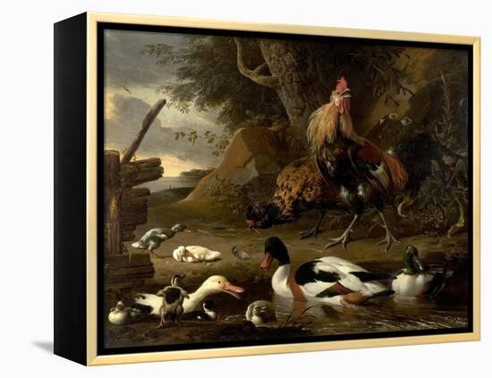 Two Fowls and Ducks on a Pond (Oil on Canvas)-Melchior de Hondecoeter-Framed Premier Image Canvas
