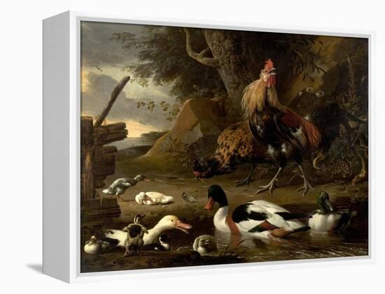 Two Fowls and Ducks on a Pond (Oil on Canvas)-Melchior de Hondecoeter-Framed Premier Image Canvas