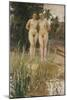 Two Friends-Anders Leonard Zorn-Mounted Giclee Print