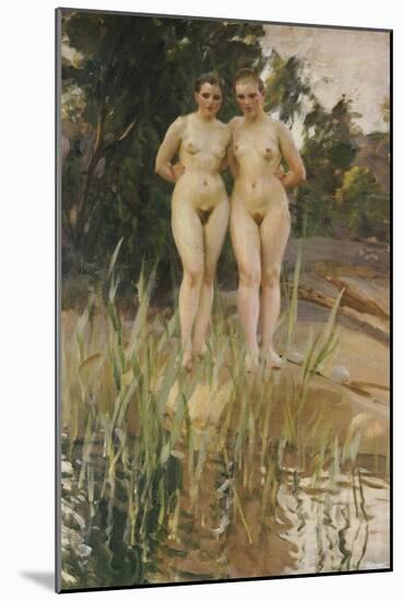 Two Friends-Anders Leonard Zorn-Mounted Giclee Print