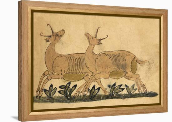 Two Gazelles-Aristotle ibn Bakhtishu-Framed Premier Image Canvas